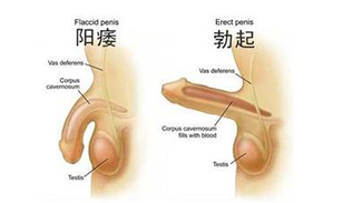 喀什博大男科醫院