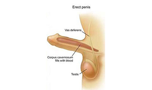 喀什博大男科醫院