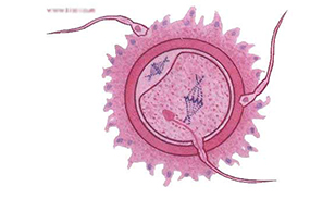 喀什博大男科醫院