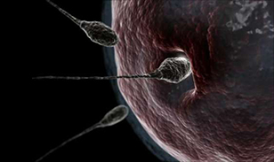 喀什博大男科醫院