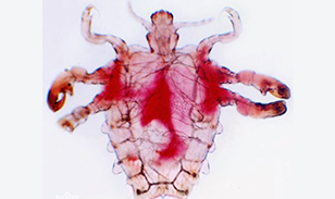 喀什博大男科醫院