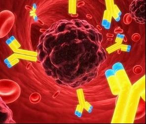 淋病破害程度你可聞來源