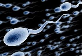 滑精的是什么引起的?