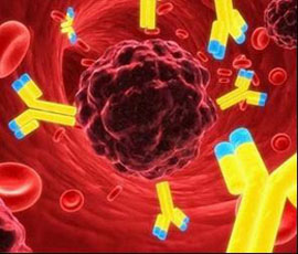 淋病不及時(shí)治療會(huì)給男性帶來哪些危害?