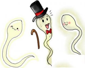 喀什哪家醫(yī)院能測精子活性