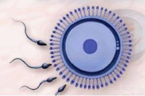喀什治療少精癥需要多少錢?