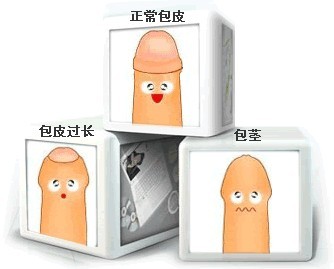 男性包莖會影響性生活嗎?